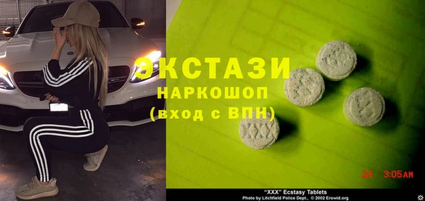 мдпв Ельня
