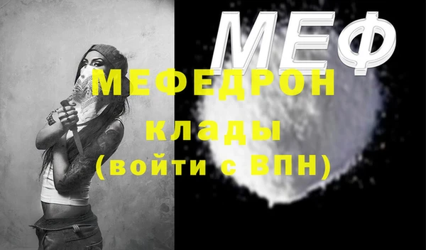 мдпв Ельня
