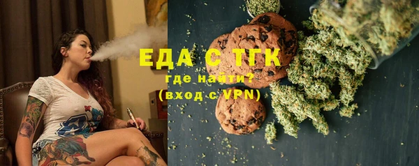 мдпв Ельня