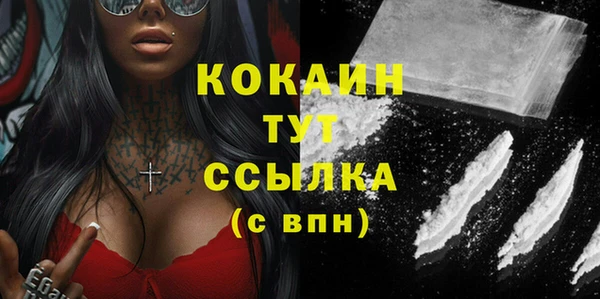 мдпв Ельня