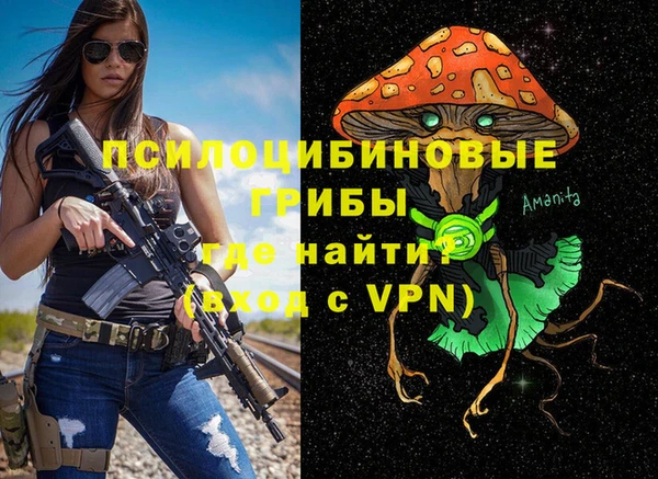 мдпв Ельня