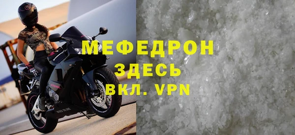 мдпв Ельня