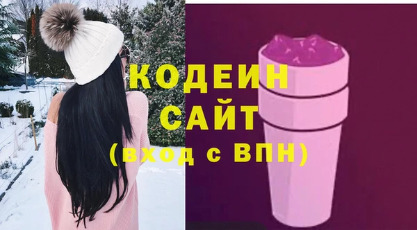 шишки Дмитровск