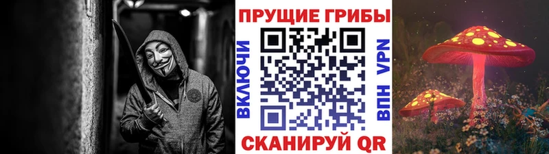 Псилоцибиновые грибы мухоморы  Жердевка 