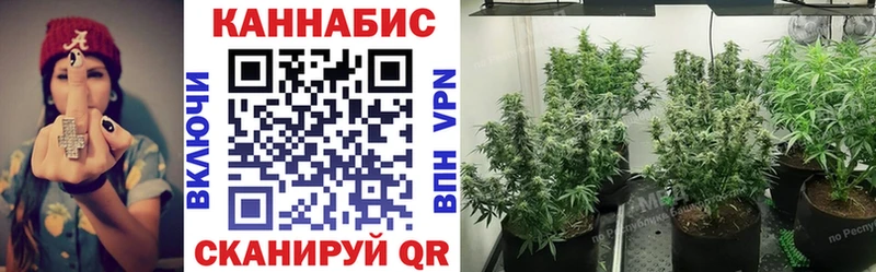МАРИХУАНА план  купить  цена  Жердевка 